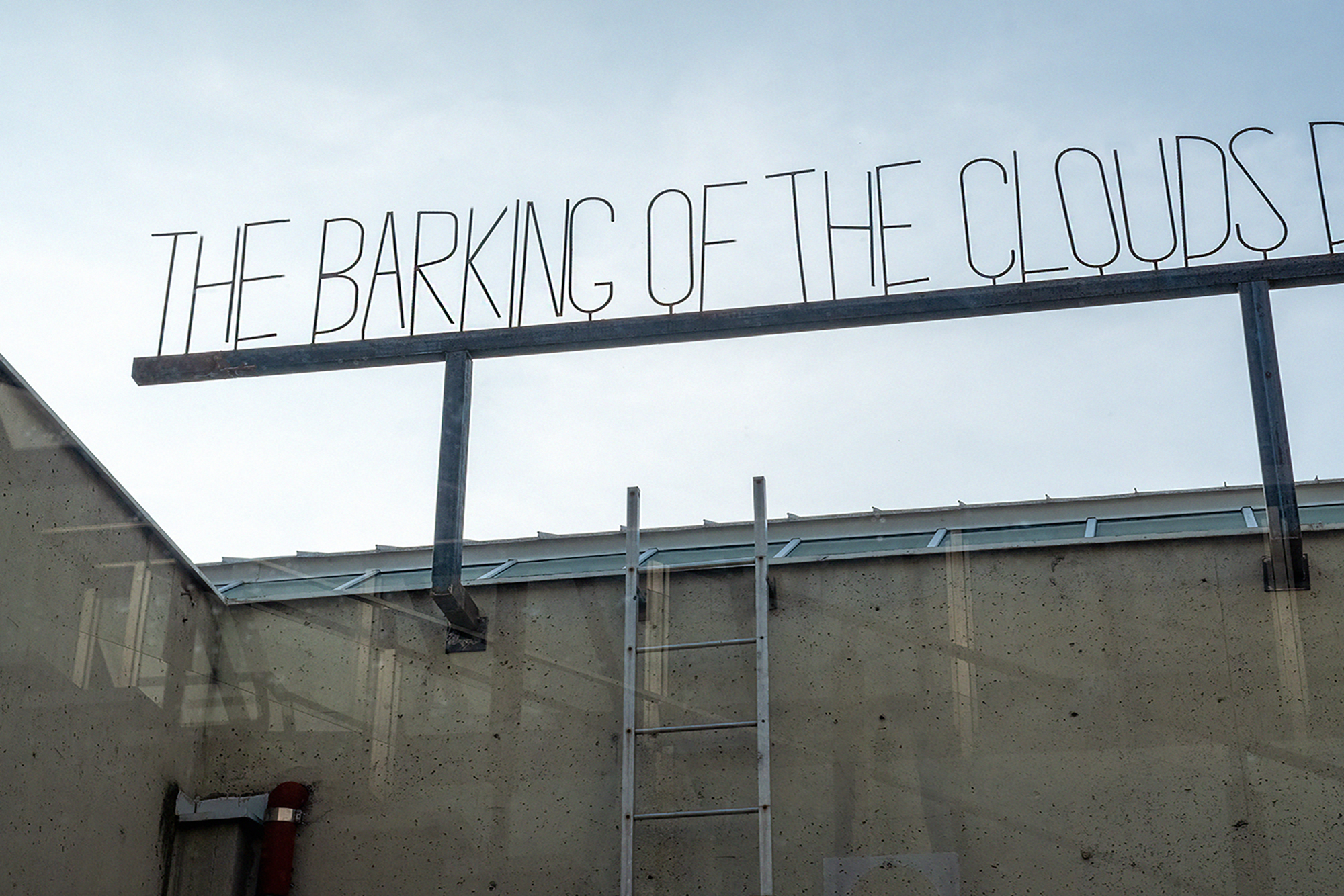 Barking Of The Clouds Does Not Hurt The Dogs
